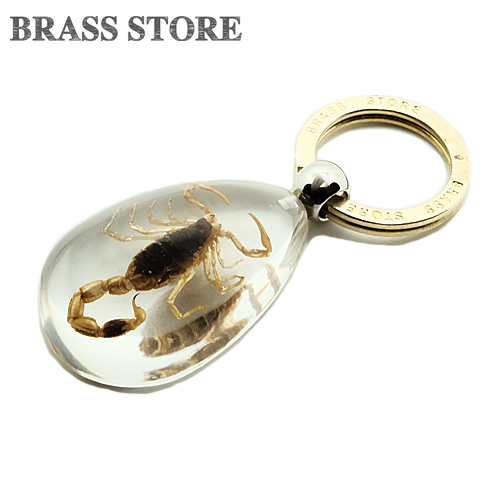 楽天市場】BRASS STORE ブラスストア / 樹脂 キーホルダー（サソリ