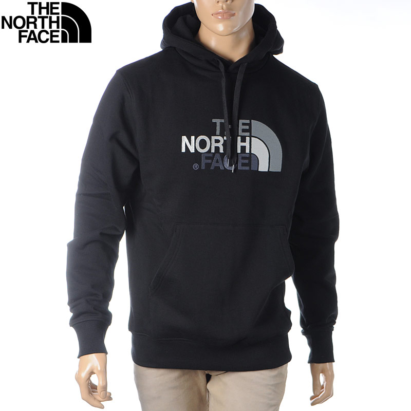 the north face drew peak pullover hoodie