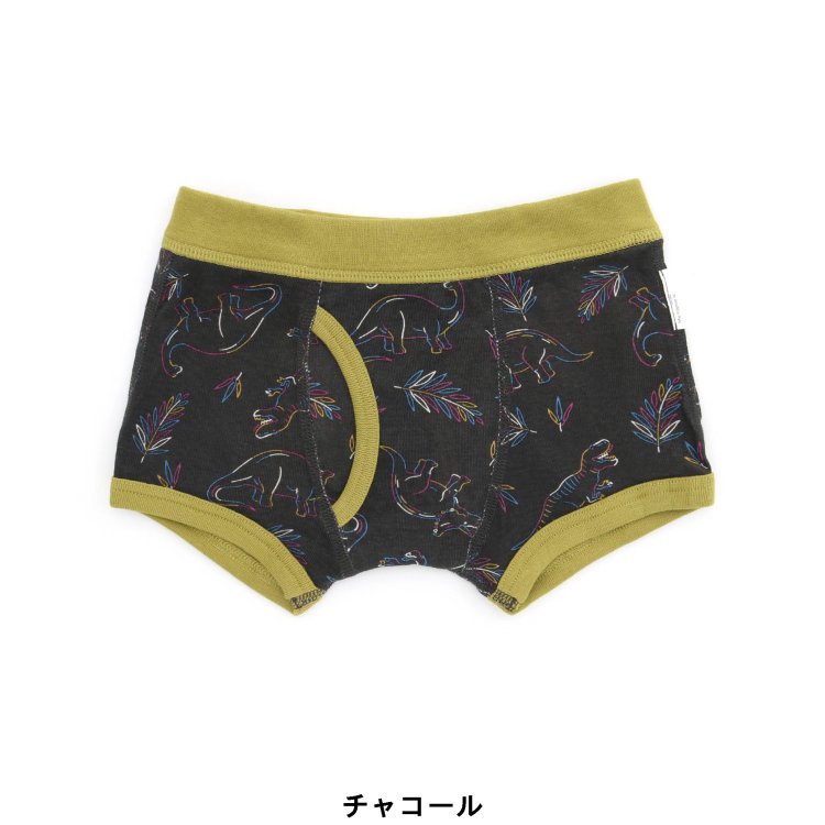 BOYS4色2柄ボクサーパンツ(恐竜・自転車) ▽▽ 男の子 BREEZE ブリーズ 子供服 キッズ ベビー 下着 パンツ ボクサーパンツ ブリーフパンツ 総柄 春 春物 エフオー FO △△ J151933 インナー・下着 | antiguaboreal.com