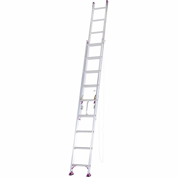 楽天市場】【2/25(水)限定!当選確率1/2最大100%Pバック】 ALINCO