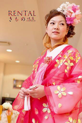024U【花嫁ワイン色オーガンジー打掛一式レンタル/4泊5日/往復送料無料】《花嫁 衣装 貸衣装 打ち掛け 打掛 色打掛 新和装 打掛レンタル 色打掛レンタル 和 婚礼衣装 フルセット 打掛一式 マタニティー オーガンジー 掛下 オレンジ 黄 黄緑 ピンク ピンク(柄) 紫 青 白》