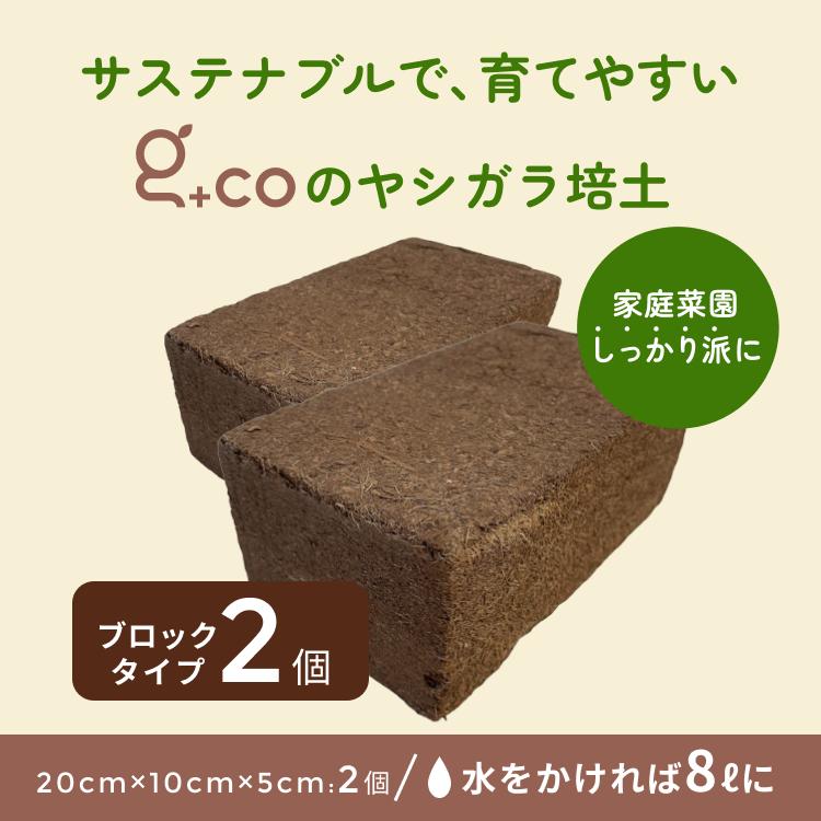 楽天市場】ジーコ g＋co 正規品 ココカラブロック 1個 ココピート 圧縮
