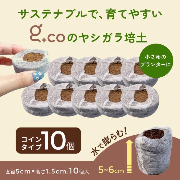 楽天市場】【ワケあり商品】ココピート/ココナチュラルディスクタイプ