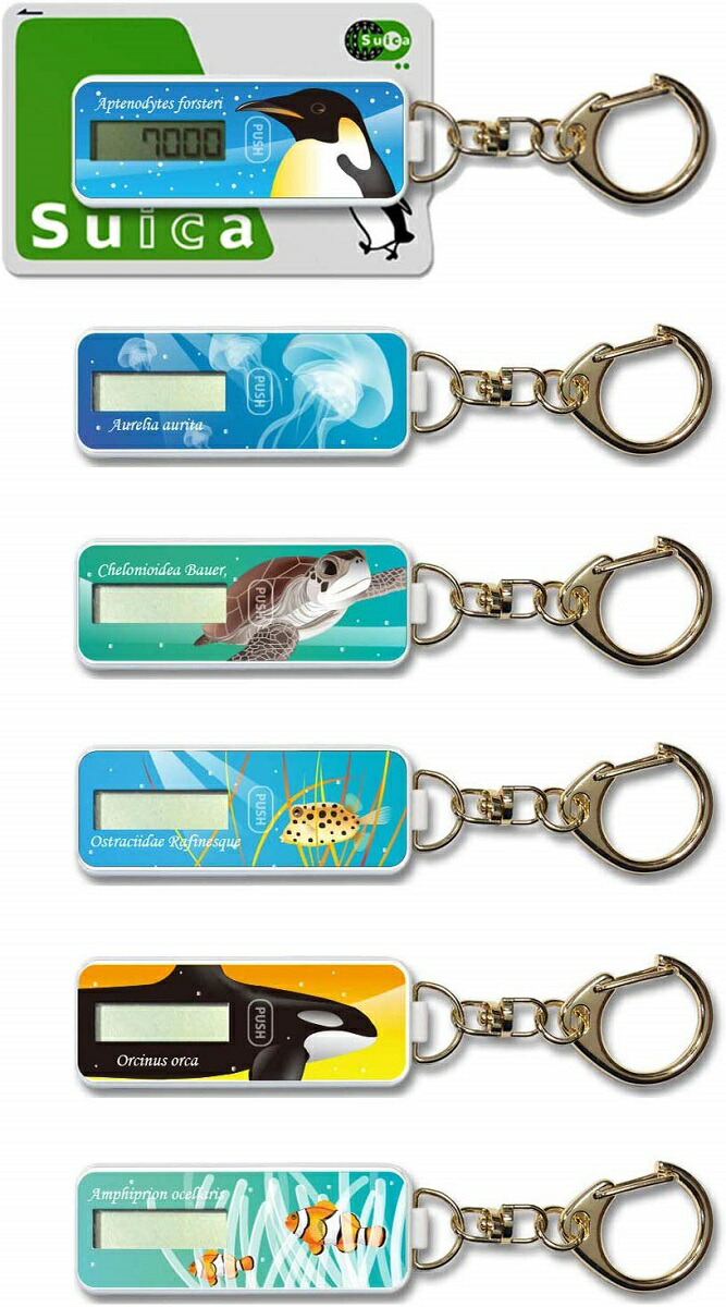 楽天市場 Nocoly Key Holder Bp Nokh Km カメ 代引及び配達日時指定不可 ゆうパケット便限定発送 ノコリー 電子マネー残高表示機能付き キーホルダー ブライトンネット ブライトンネットショップ