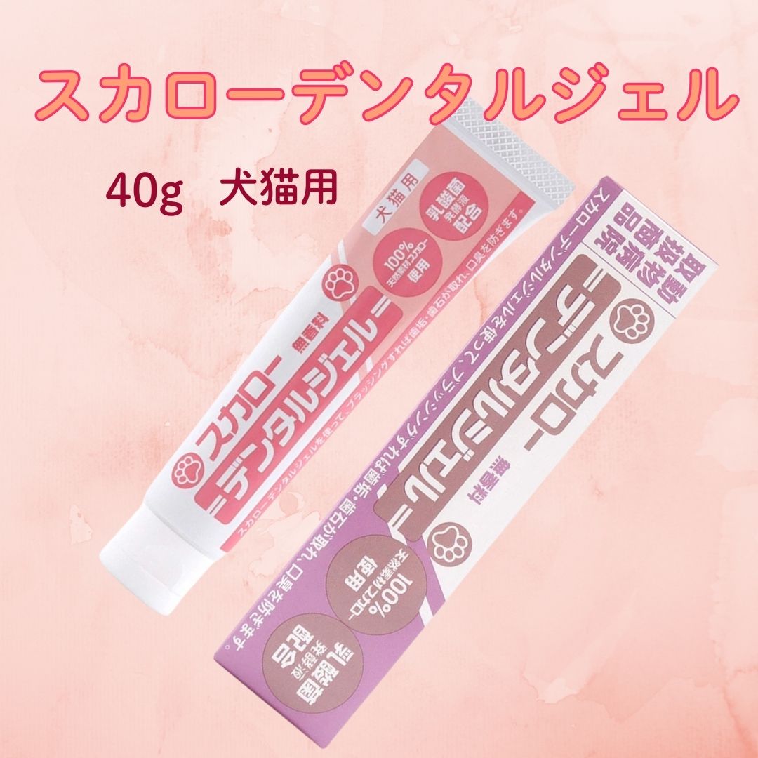 楽天市場】スカロー デンタルジェル 40g 無香料 送料無料 : プレミアム