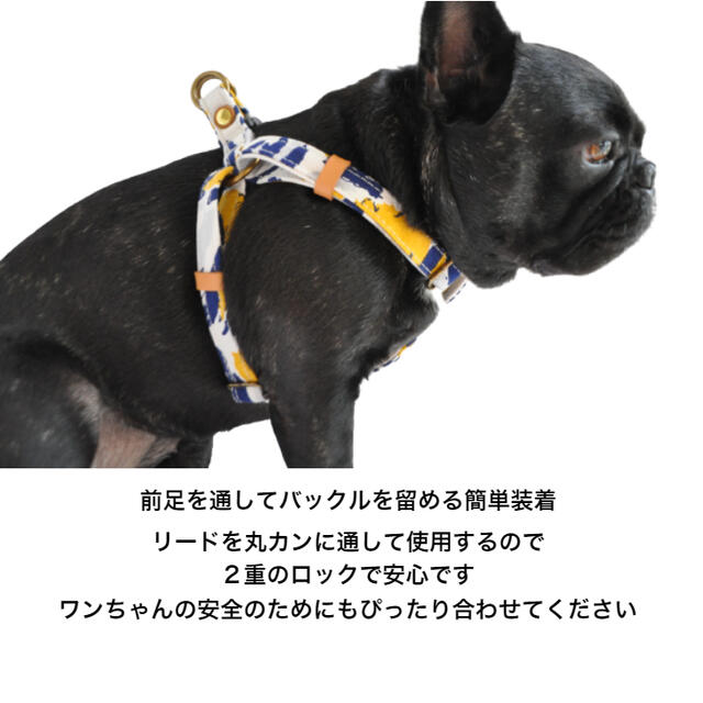 ハーネスLサイズブラウン×水玉ブラックオリジナルドット倉敷帆布BLENHEIM丈夫なダブルリング犬用胴輪おしゃれ幅20mm胴回り46〜70cm