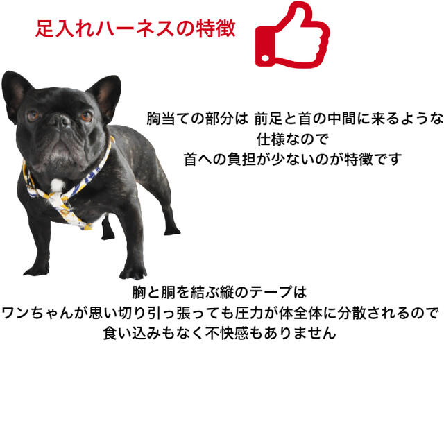ハーネスLサイズブラウン×水玉ブラックオリジナルドット倉敷帆布BLENHEIM丈夫なダブルリング犬用胴輪おしゃれ幅20mm胴回り46〜70cm