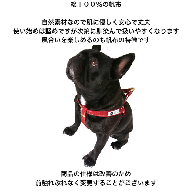 ハーネスLサイズブラウン×水玉ブラックオリジナルドット倉敷帆布BLENHEIM丈夫なダブルリング犬用胴輪おしゃれ幅20mm胴回り46〜70cm