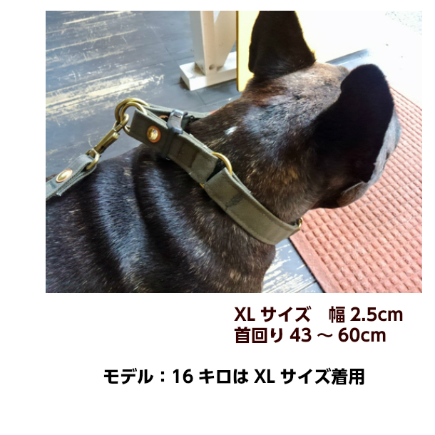 楽天市場 Xl 犬 首輪 大型犬 倉敷帆布 犬首輪 日本製 手作り 帆布 カラ キャンバス ダブルリング オリーブ色 首輪幅25mm 首回り43 60cm 個性的 おしゃれ 大型犬 Brindle Life With Dogs