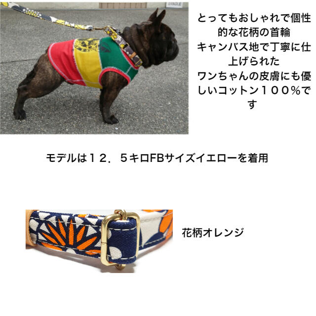 SALE／91%OFF】 犬 首輪 大型犬 倉敷帆布 XL 犬首輪 日本製 帆布 キャンバス ダブルリング 花柄オレンジ 首輪幅25mm 首回り43〜60cm  個性的 おしゃれ www.agroservet.com