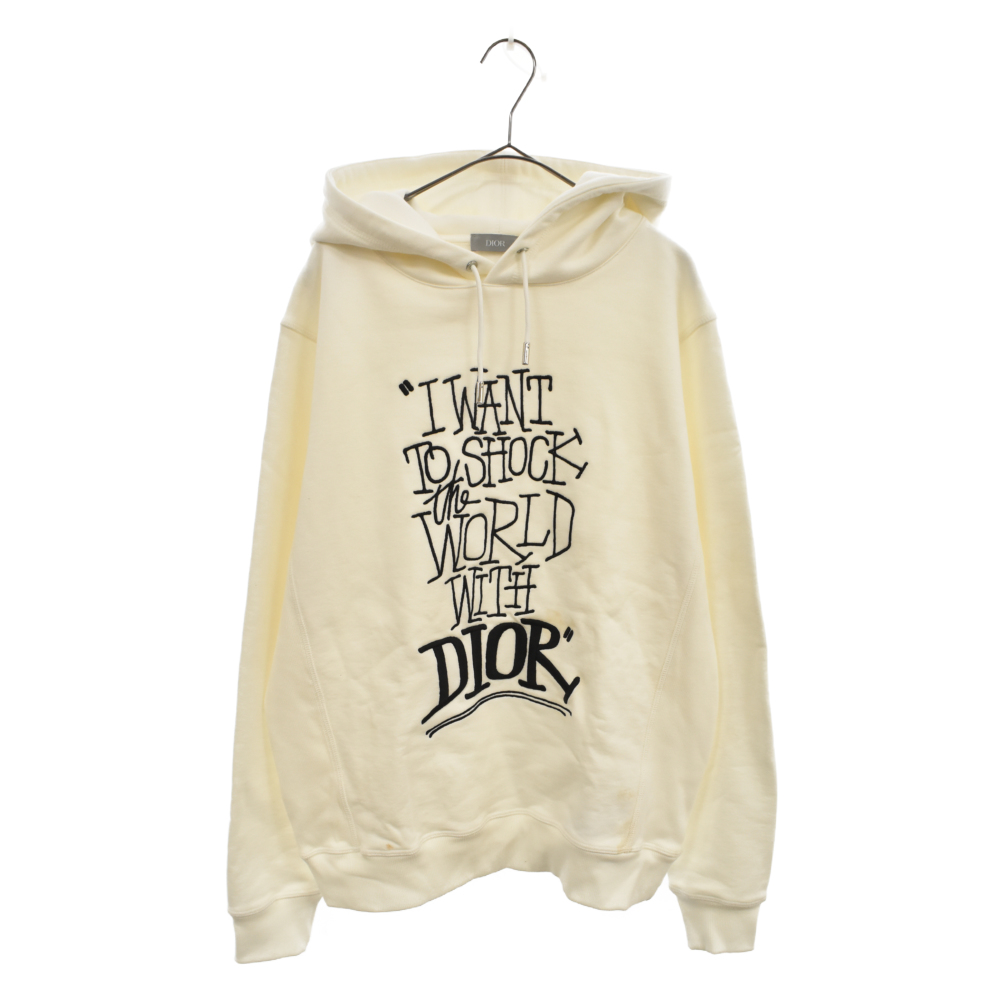 2021年秋冬新作 Dior ステューシーSHAWN Stussy S ナイロンジャケット