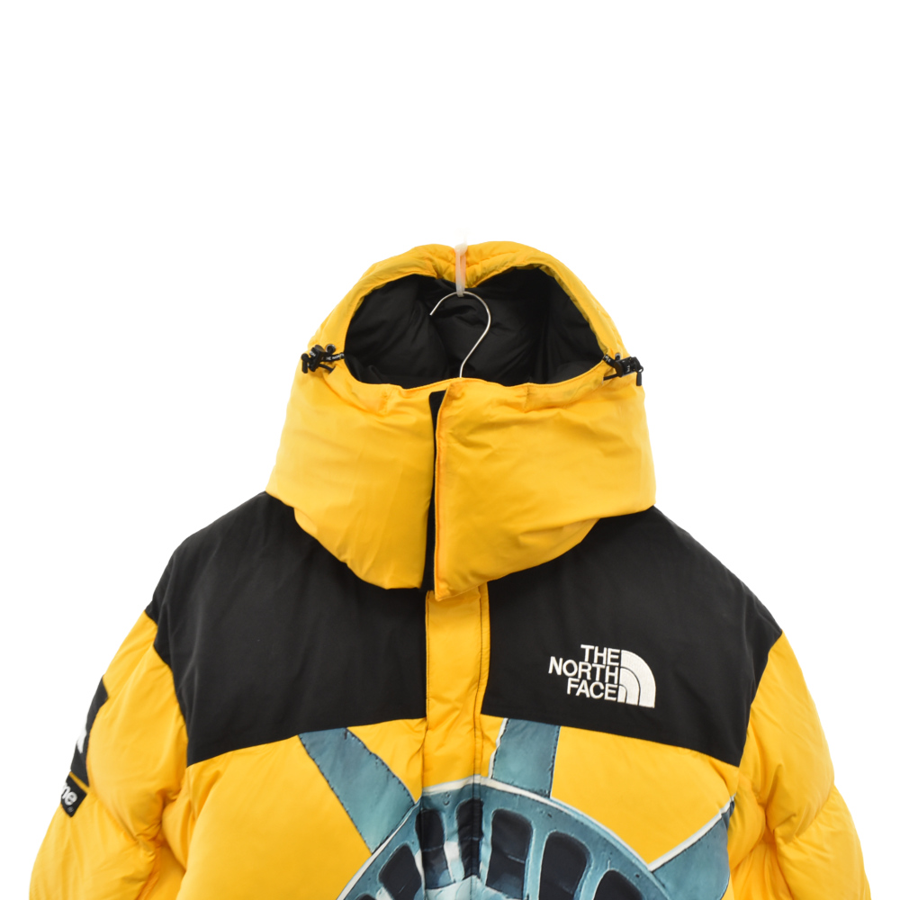 SUPREME(シュプリーム) サイズ:M 19AW×THE NORTH FACE Statue Of