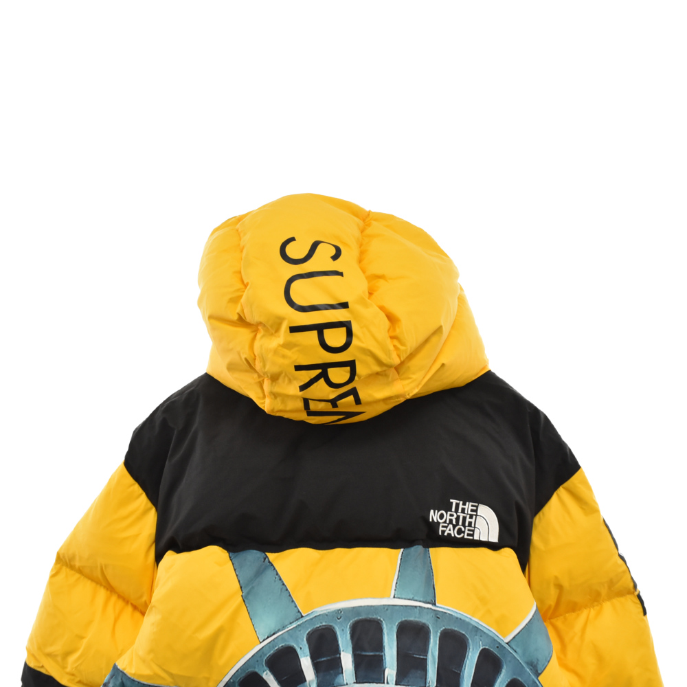 SUPREME(シュプリーム) サイズ:M 19AW×THE NORTH FACE Statue Of