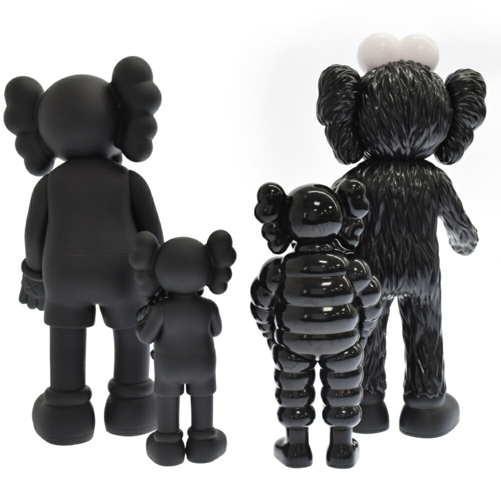 SALE／71%OFF】 MEDICOM TOY メディコムトイ KAWS Family カウズ