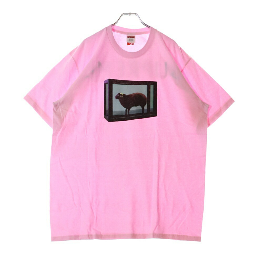 楽天市場】SUPREME(シュプリーム) サイズ:S 09AW×Damien Hirst