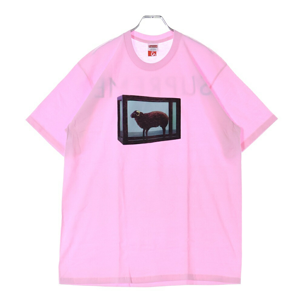 楽天市場】SUPREME(シュプリーム) サイズ:S 09AW×Damien Hirst