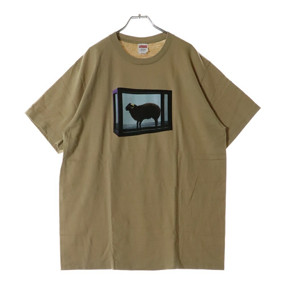 楽天市場】SUPREME(シュプリーム) サイズ:S 09AW×Damien Hirst
