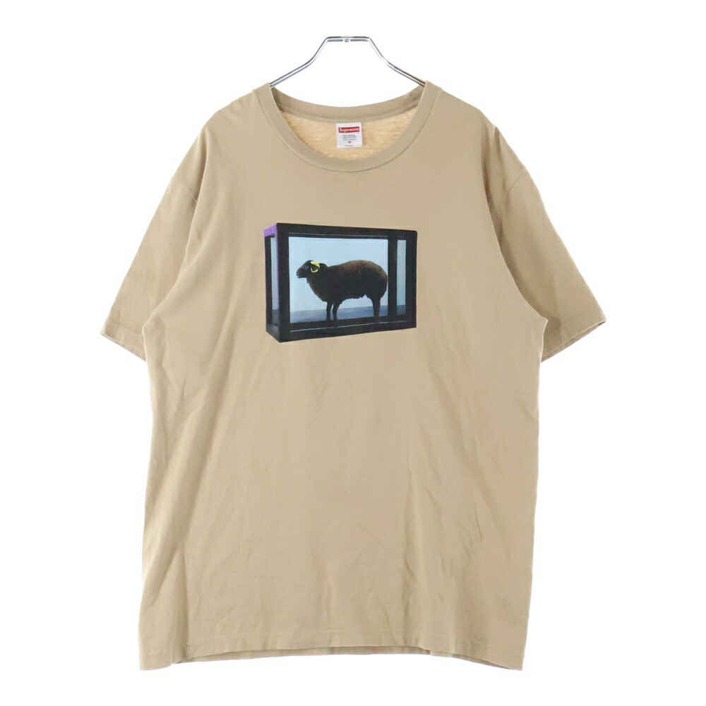 XXLサイズ supreme damien hirst tee 白 Supreme Damien Hirst Tee 白S 楽天市場】【送料無料】【楽ギフ_包装