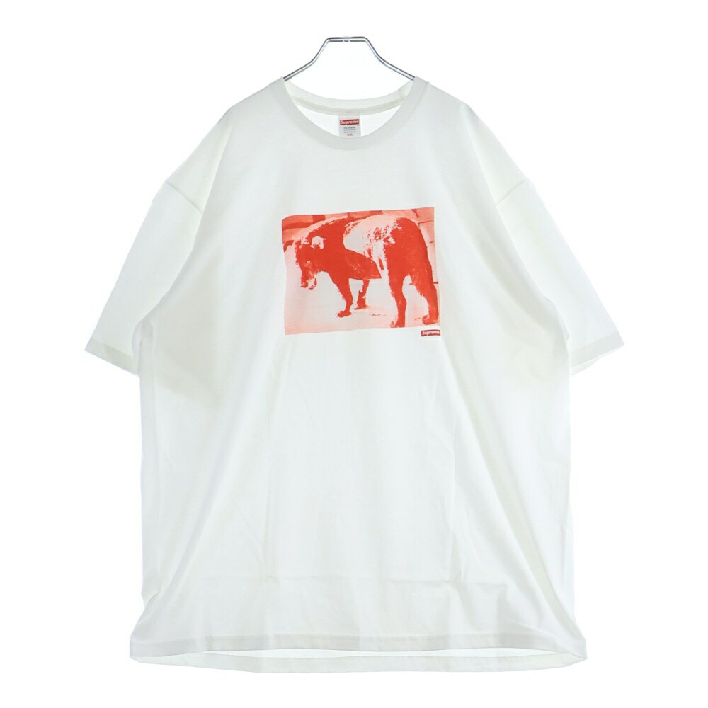SUPREME(シュプリーム) 大いさ:XXL 22SS Daido Moriyama Dog Tee 森山目抜き通り 飼い犬 労働者の一団のど首 半袖ティーシャツ カットソー 白いこと【新古品/中古】【度合いS】【色合い白いこと】【取りまわしバス発着場BRING京都河原町店】 Tシャツ・カットソー-トップス