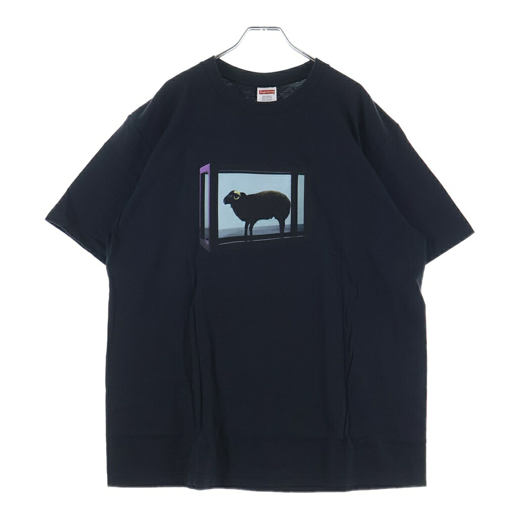 SUPREME(シュプリーム) サイズ:L 25SS Damien Hirst Tee ダミアン ハースト コットン クルーネック 半袖Tシャツ カットソー ブラック【新古品/中古】【程度S】【カラーブラック】【取扱店舗BRING札幌店】|ブランド買取・販売 BRING