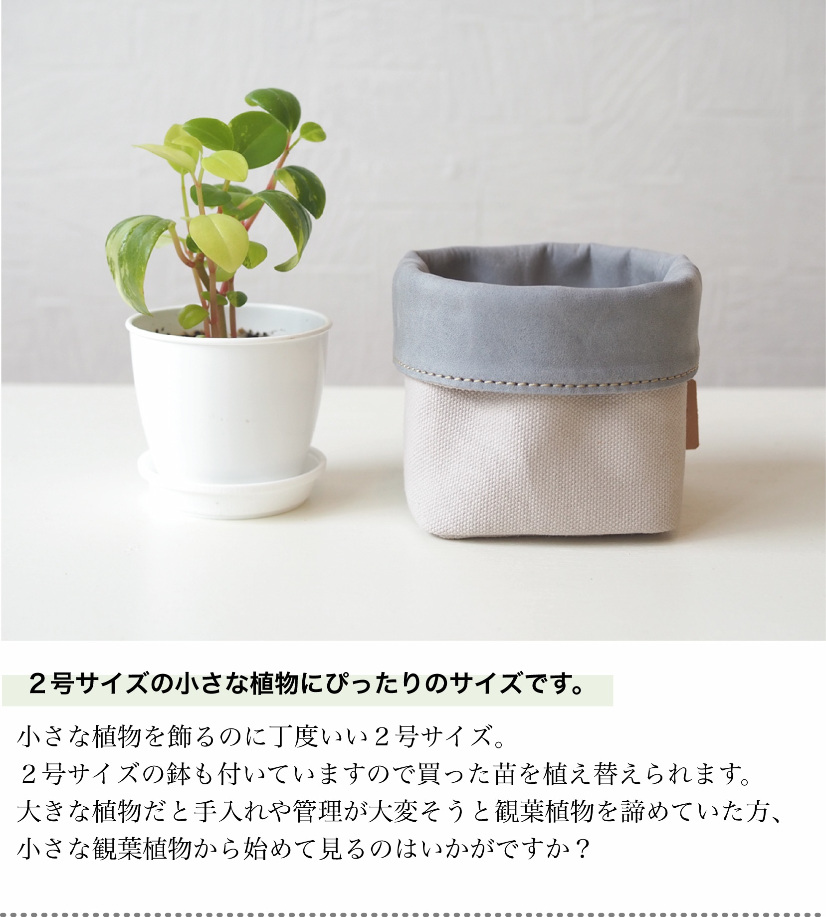 楽天市場 月間優良店舗受賞 レザー 帆布 鉢カバー 2号 観葉植物 花 フラワーアレンジメント 多肉 エアープランツ プランターカバー 人気 インテリア おしゃれ かわいい クリスマス おうち時間 革 本革 プレゼント 贈り物 ギフト お祝い グリーン 置き型 北欧 カラー