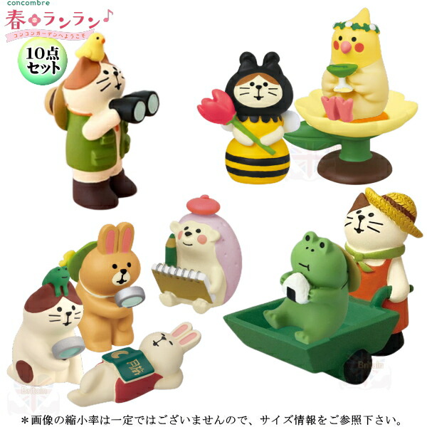 コンコンブル14個セット DECOLE デコレ(DECOLE) concombre コンコンブル コンコン島14