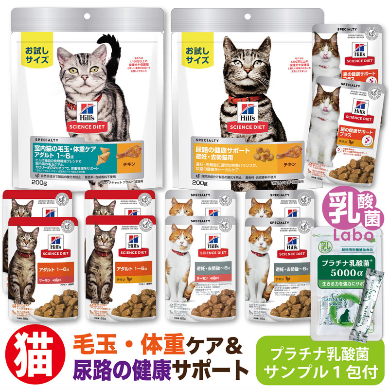 楽天市場】ピュリナワン キャット 猫 お試しセット 室内飼い猫用（１歳以上） PURINA ONE 乳酸菌 サプリ おやつ ウエット パウチ  プラチナ乳酸菌 腸活 免疫調整 健康サポート送料無料 口内環境 皮毛向上 キャットフード お試し : 乳酸菌ラボ