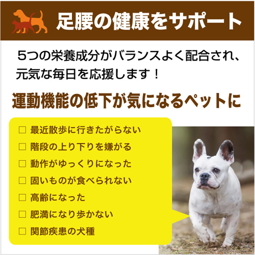 楽天市場 犬 関節 サプリメント Run ラン 60粒 2 小型犬1 2ヵ月 乳酸菌ラボ