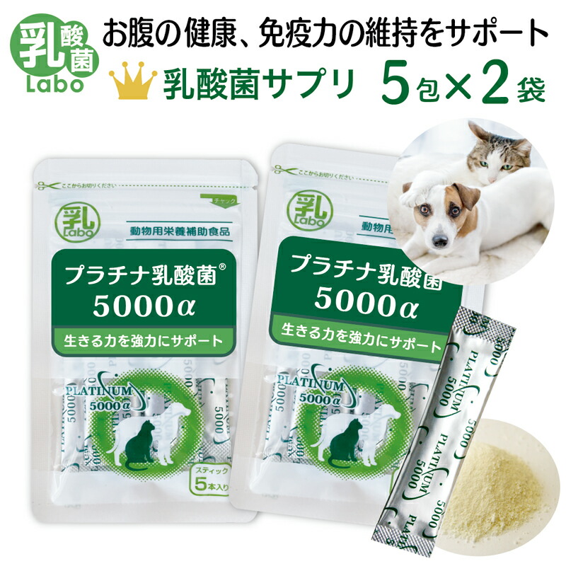 犬 猫 乳酸菌 サプリ オヤコ J 緑組 29包 シワ男 - メルカリ