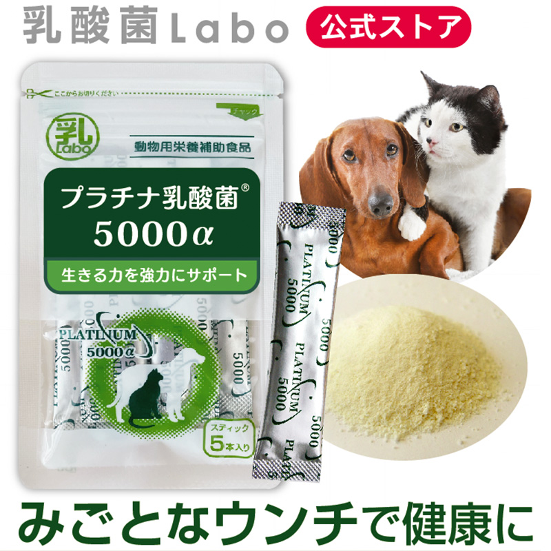 【楽天市場】乳酸菌 サプリ 猫 犬 ペット サプリメント 粉 パウダー 