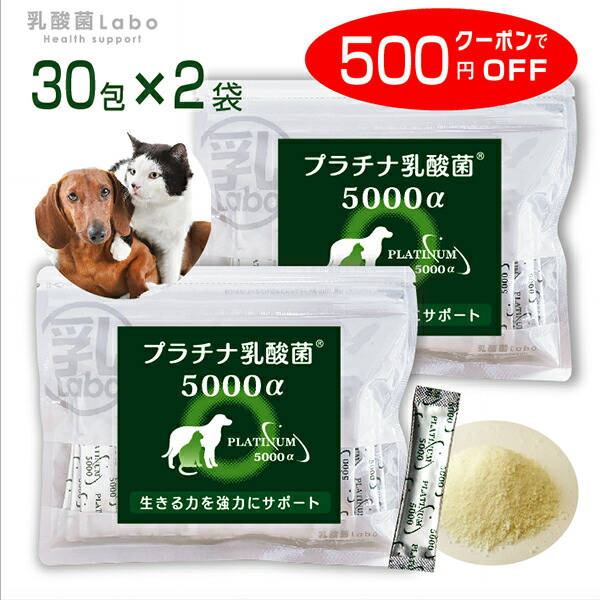 楽天市場 ペット サプリ 犬 猫 乳酸菌 プラチナ乳酸菌5000a 30包 2 乳酸菌ラボ