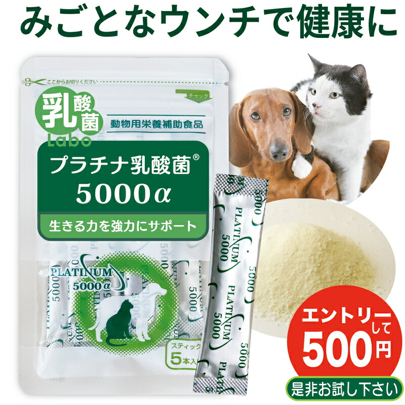 楽天市場】犬 猫 乳酸菌 サプリ 動物用乳酸菌 ペットサプリ 濃縮