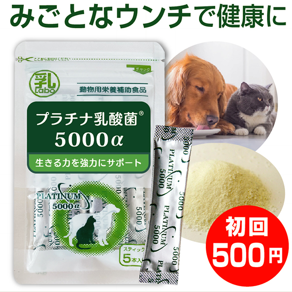 楽天市場 乳酸菌 ペット 犬 猫 サプリ プラチナ乳酸菌5000a 初回お試し500円 ご家族様2コまで ２コご購入で送料無料 乳酸菌ラボ