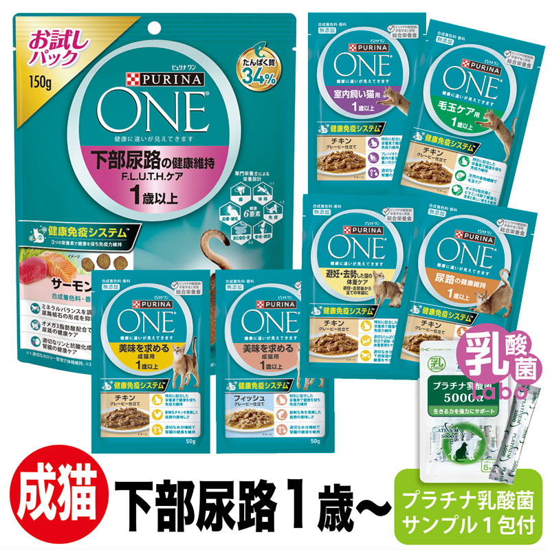 【ゆっち様ご購入分】PURINA ONE 6袋セット ピュリナワン 猫 F.L.U.T.H.ケア チキン 2kg 6袋 ネスレ日本