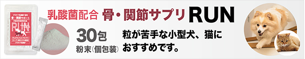 楽天市場】乳酸菌 ペット サプリ プラチナ乳酸菌5000α(30包入)犬乳酸菌 猫乳酸菌 うさぎ乳酸菌 サプリ サプリメント 便秘 : 乳酸菌ラボ