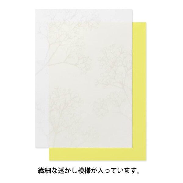 大注目 ミドリ 便箋 透かしレター 和紙9枚 色紙9枚 かすみ草柄 A5 手紙 無罫 かすみ草 お洒落 越前和紙 送料無料 600円以上 メール便発送 Empresas Arteamais Com Br