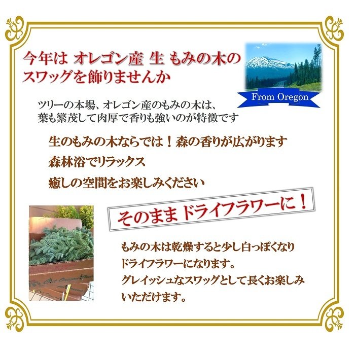 クリスマス 選べるリボン 生花もみの木 スワッグ キット 予約販売11月中旬より順次発送 たっぷり オレゴン産モミの木 クリスマス飾り 手作りキット 生花 もみの木 材料 花材 マニュアル もみ 自然素材 壁掛け 玄関 リース クリスマスリース 壁飾り Sermus Es