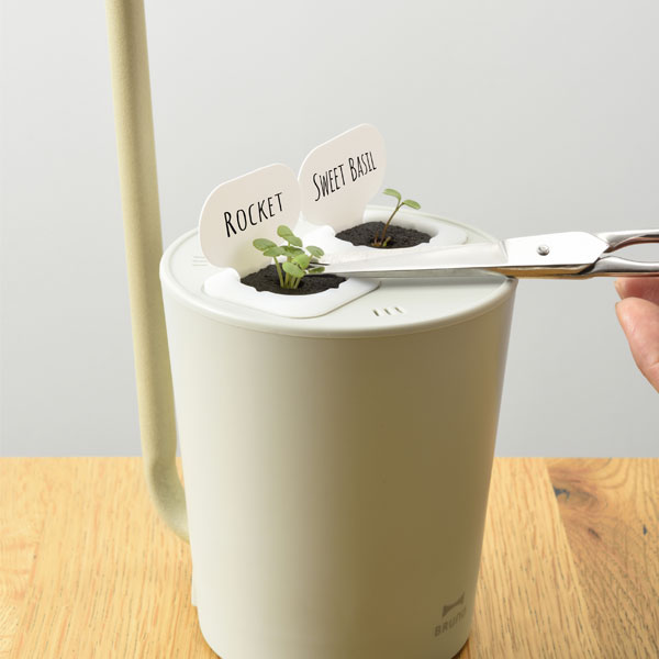 ポイント最大33倍 公式 ブルーノ Bruno 水耕栽培キット Standbygreen 栽培キット プランター Ledライト ブックライト 読書灯 スタンドライト 家庭菜園 雑貨 ギフト グッズ おしゃれ Boe074 Clinicalaspalmeras Com