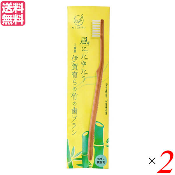 【ポイント最大5倍！】10/1(木)限定！歯ブラシ ハブラシ ひまし樹脂 FINE MEGURU 竹の歯ブラシ ひまし樹脂毛（ふつう）2本セット 送料無料