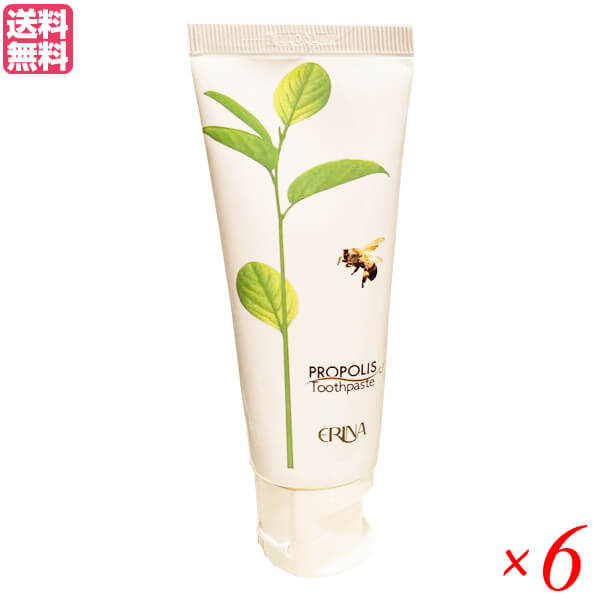 エリナ P歯磨き 95g 6本セット プロポリス 歯磨き ハミガキ 送料無料