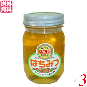 はちみつ 蜂蜜 国産 五十川養蜂園 国産はちみつ アカシア 500g ３個セット 送料無料｜ビューティーツー