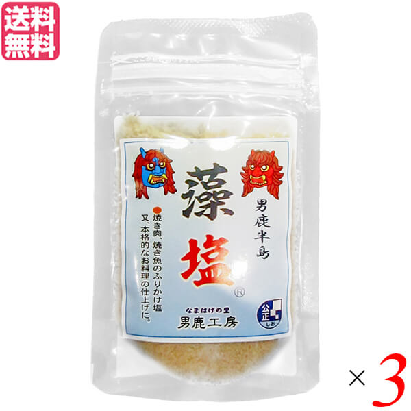 塩 藻塩 天然塩 男鹿半島 40g 3袋セット 男鹿工房 送料無料 特別価格