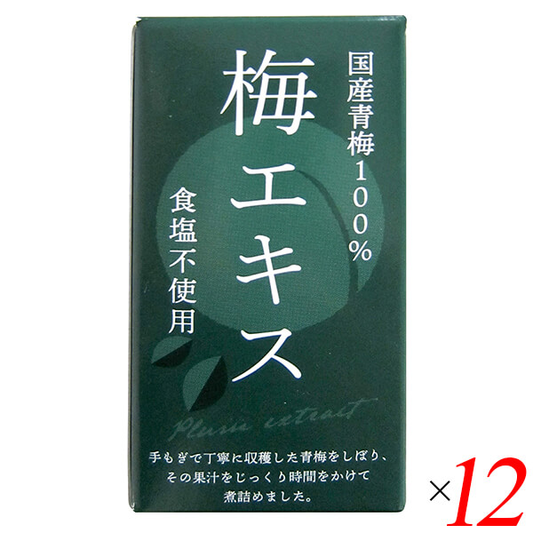 【マラソン限定！100円クーポン】梅 青梅 ペースト 特別栽培梅エキス 王隠堂 65g 12個セット 送料無料