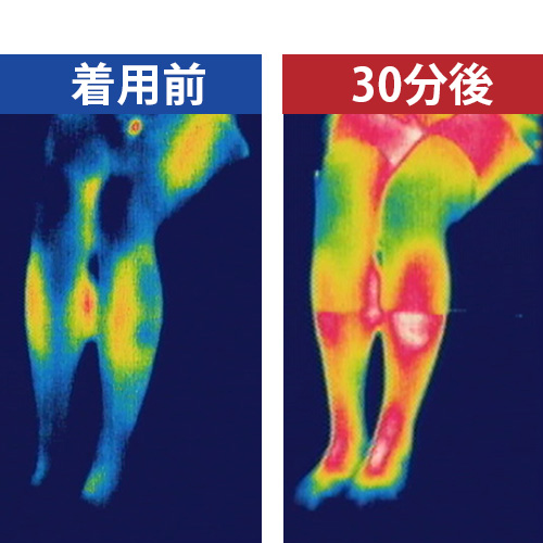 Bsファイン ソフト膝サポーターs 両足分 公式 膝 ひざ 温める グッズ あったか サポーター 膝ウォーマー 保温 冷え対策 薄手 スポーツ 高齢者 着る岩盤浴 Bsfine Aplusfinance Blog Com