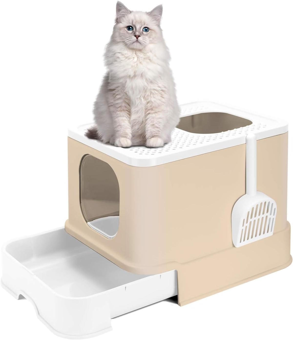 猫 室内用便器 猫用室内用便器本体 猫室内用便器 大電気容量 大型 砂の飛び散ら押しとどめる 掃き出す分かりやすい 脱臭抗菌 精神的な統合し分かりやすい 抽き出し付き添い人 かっこ良い 一般受け (パープル) その他-日用品雑貨・文房具・手芸-生活雑貨