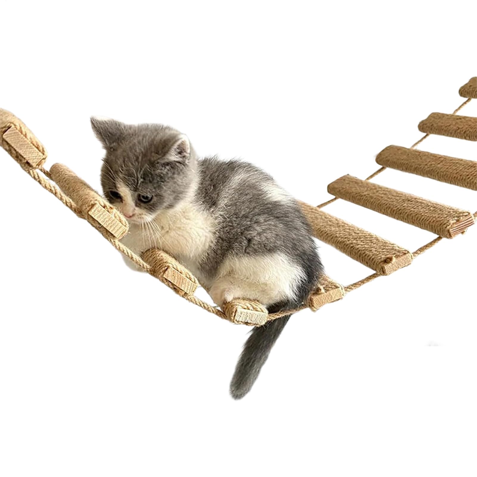 猫用ブリッジ回路 飾りつけ | 100多情多感 子ネコ飛び降りる備品,子ネコ爪とぎ足取り - 調教師、毛の荒物ほれ込む家、執務室、アパルトマン、臥し所、リビングお部屋、書房、車寄せ、獣医師、保護施設向け