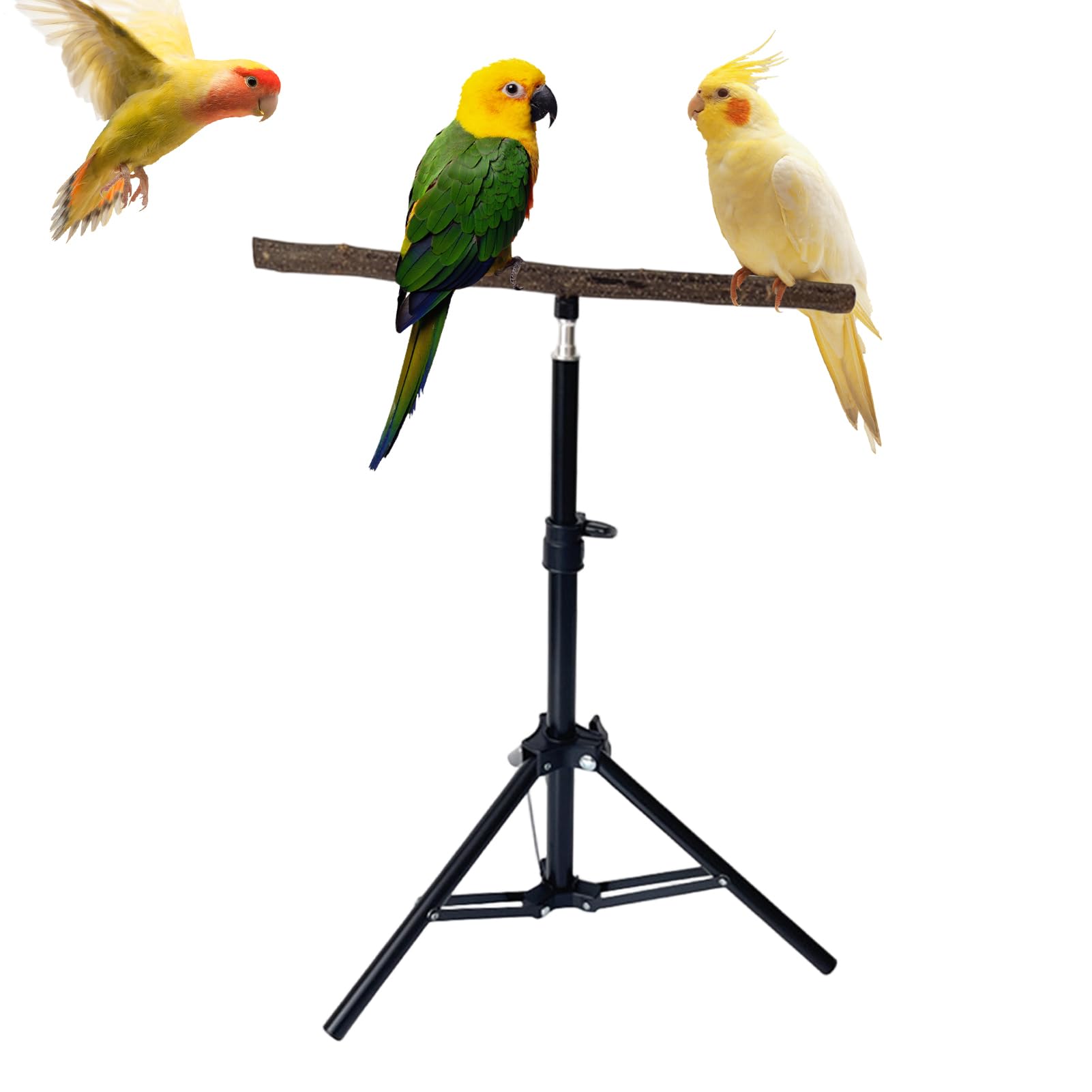 バードスタンド 止まり木 鳥 スタンド 三脚 折りたたみ 高さ調節 40-75cm 天然木 インコ オカメインコ 小鳥 室内 屋外 トレーニング 持ち運び 設置簡単 ペット用品 庭 ベランダ おもちゃ 遊び場｜BSマーケット