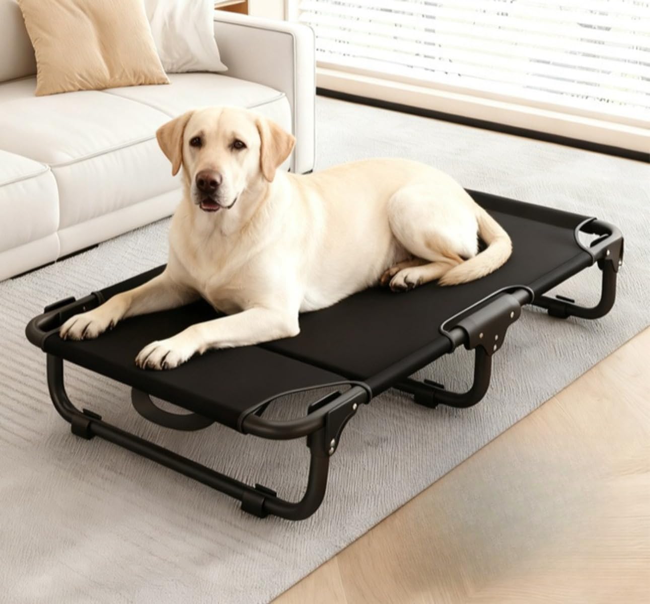 ブラック 組立不要折りたたみ犬用ベッド 通気性良好 夏から通年対応 開くだけで即使用可能ペットベッド(（120斤以下対応）折りたたみ式)｜BSマーケット