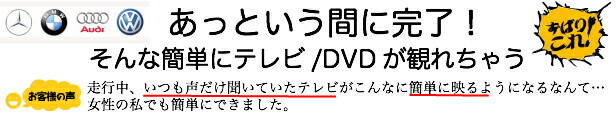 楽天市場】作業不要！挿込むだけ！最新BMW Gシリーズ / Fシリーズ iDrive NBT2 (iDrive7対応) TV/ナビキャンセラー : ナビ  キャンセラー販売