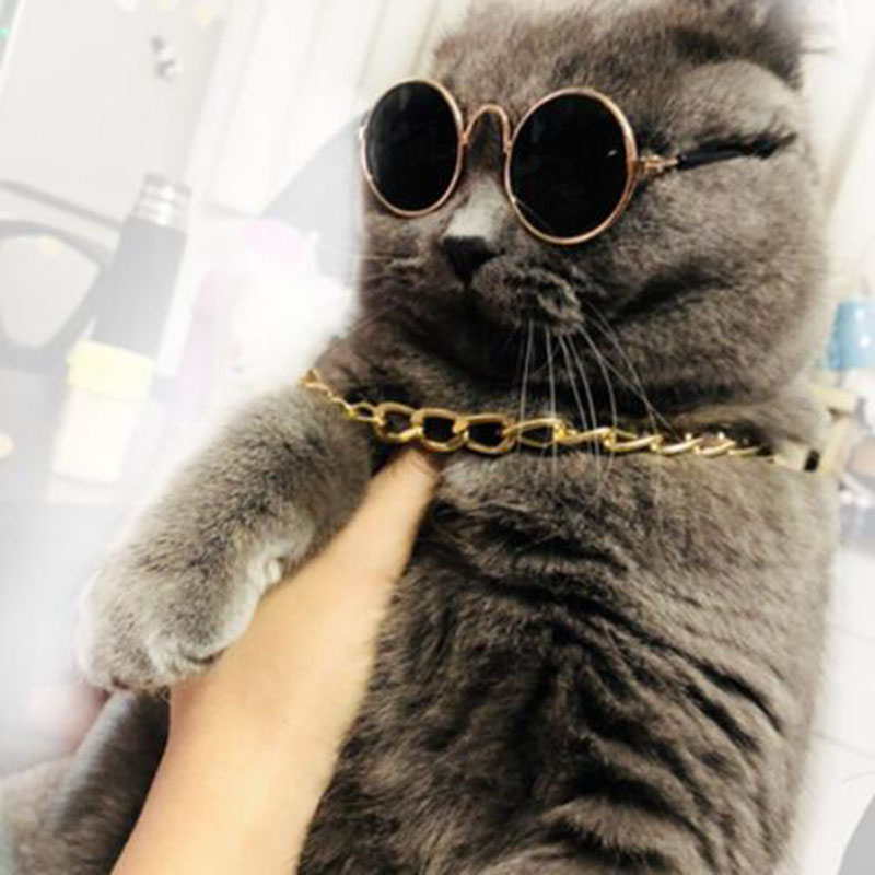 3点セット サングラス 小型犬 猫用品 送料無料 ハット ペットグッズ ネックレス アクセサリー